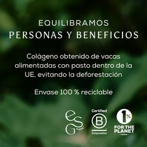 Matcha + Collagen ES