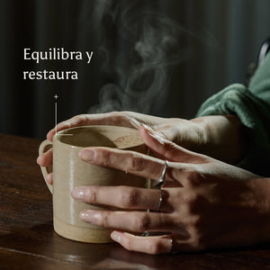 Cacao + Collagen Sachets