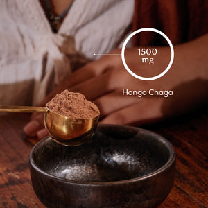 Cacao + Chaga ES