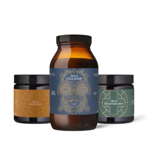 The Foundation Kit