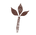 Canela