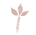 Canela