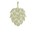 Lúpulo
